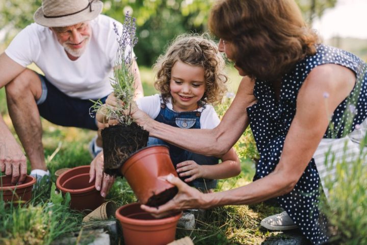 Explore must-have amenities in Artessa’s active adult communities.