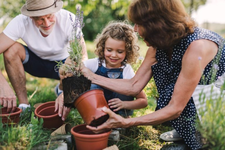 Explore must-have amenities in Artessa’s active adult communities.